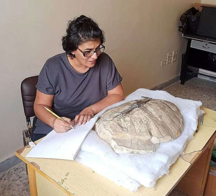 این لاکپشت در دورانی زندگی میکرد که سوریه «دریا» بود | عکس