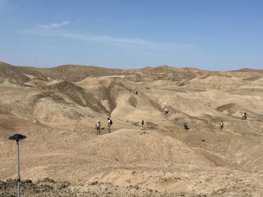 اسرار  فسیل‌های جدید