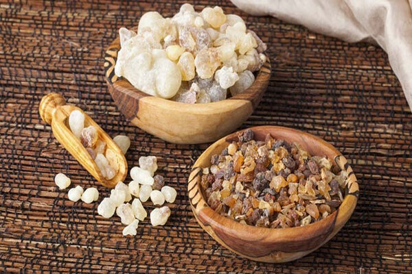 شرایط مصرف کندر برای تقویت حافظه ؛ کندر واقعا ضریب هوشی کودک را بالا میبرد؟