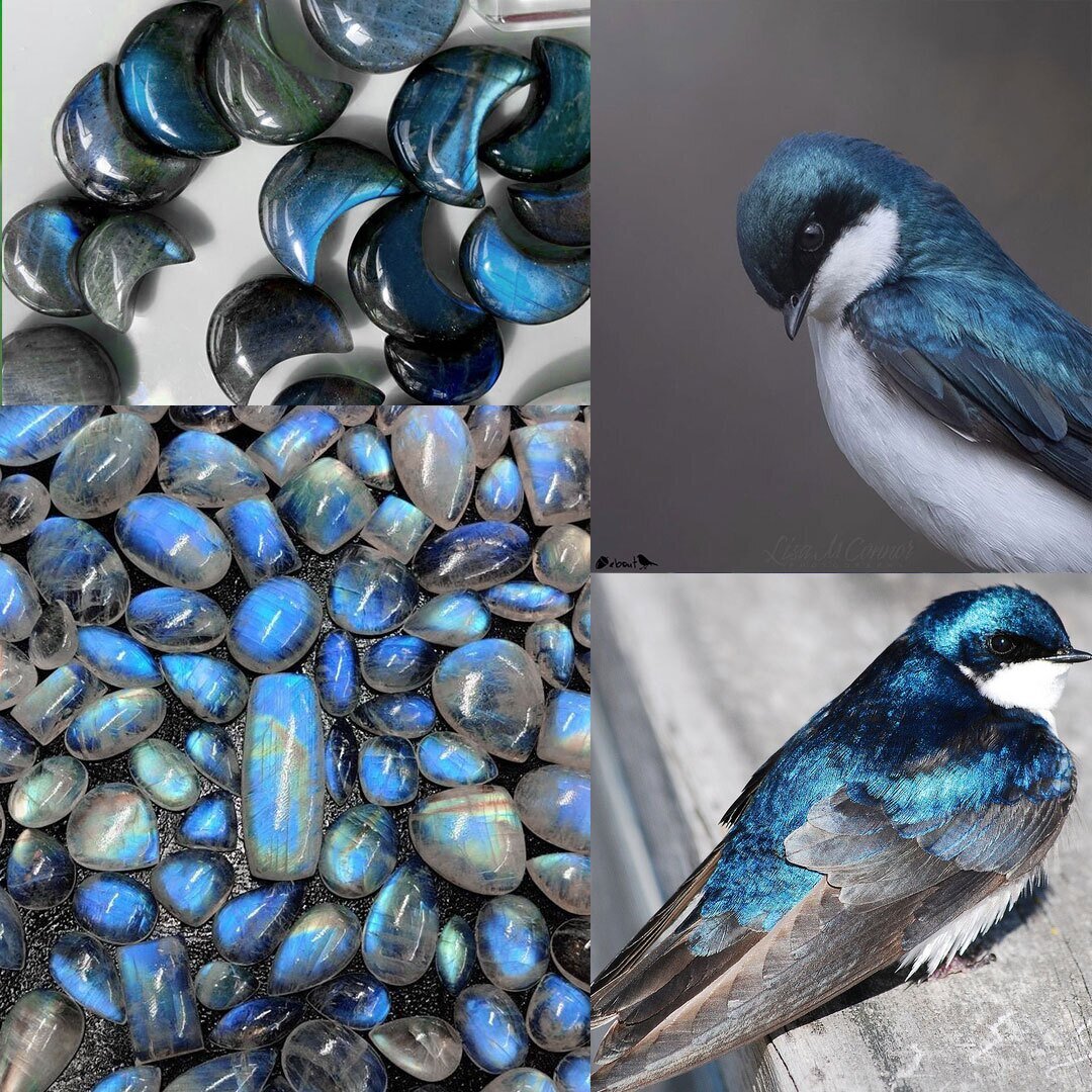 تکرارها و شباهتهای شگفتانگیز در طبیعت | عکس