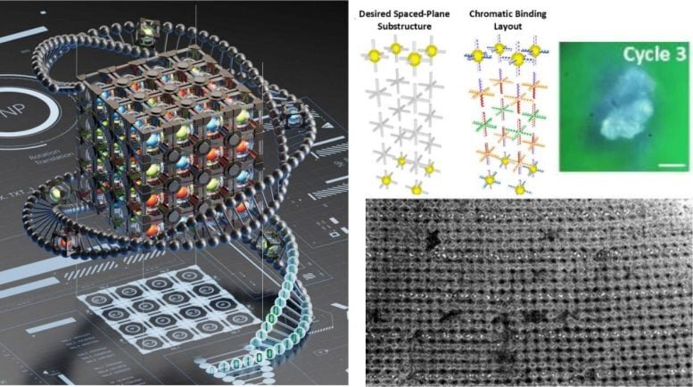تحولی شگفتانگیز در فناوری نانو | ساخت ساختارهای سهبعدی با DNA و آب