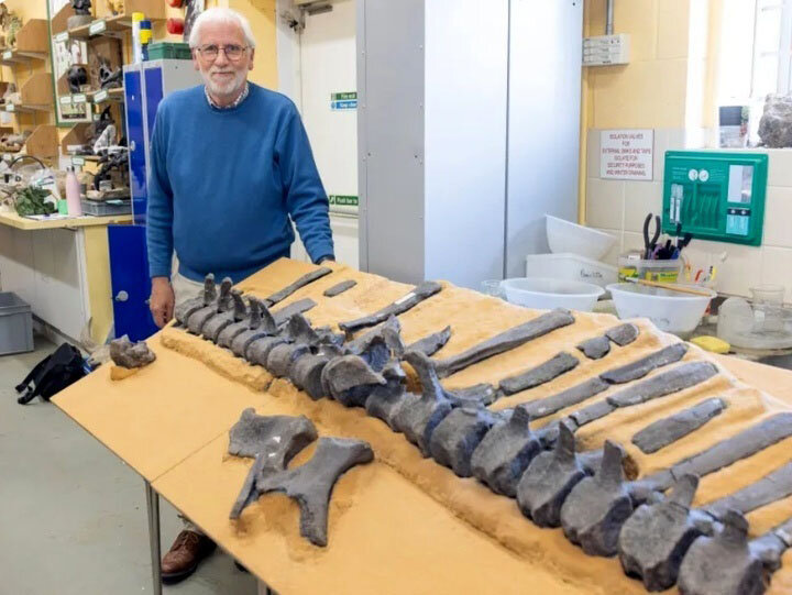 کشف هیولای ماقبل تاریخ با کمری شبیه به بادبان | عکس