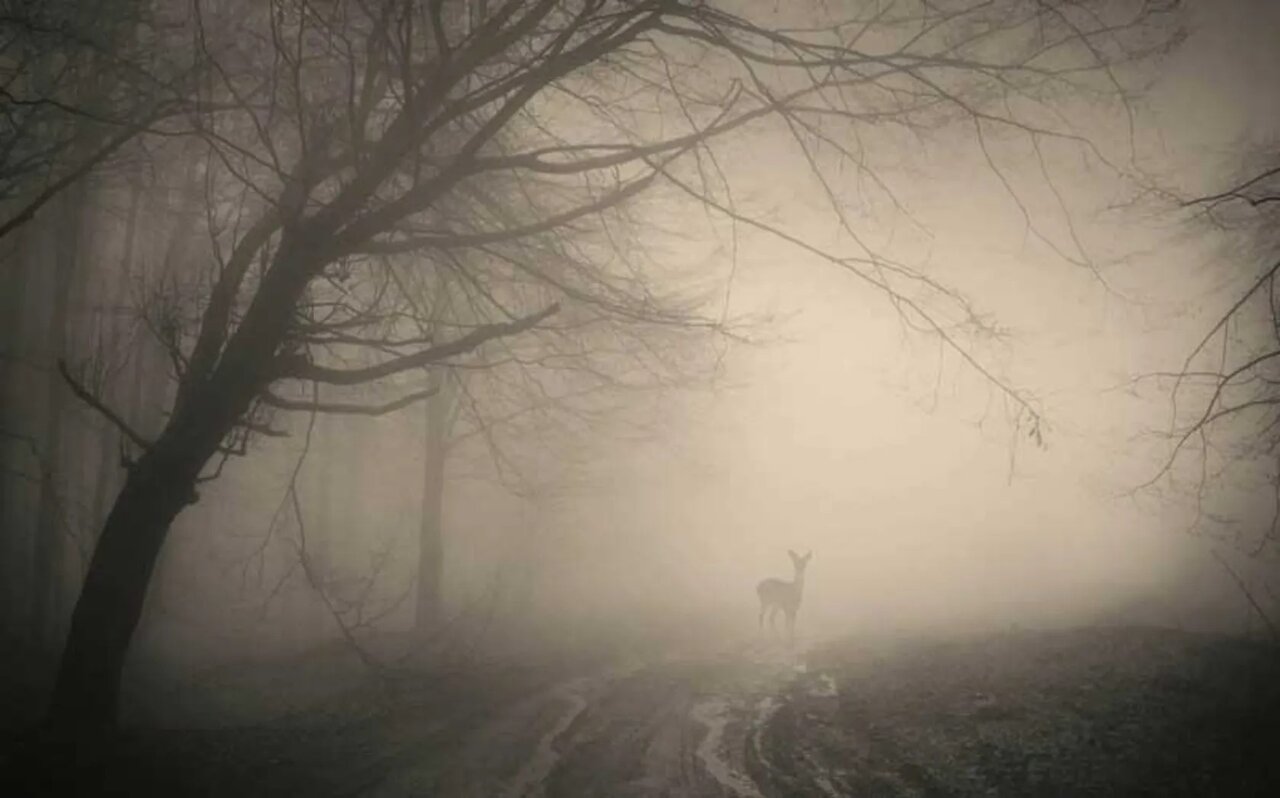 سفر با طعم وحشت و هیجان ؛ مناطق گردشگری ترسناک ایران را بشناسید | عکس