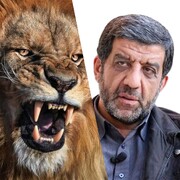 لحظه مواجه شدن ضرغامی با شیر خشمگین