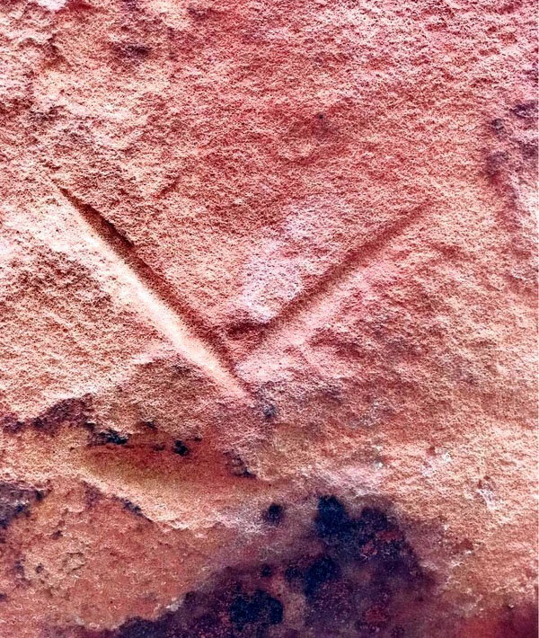 یک غار مخفی در جنگل با حکاکیهای باستانی کشف شد | عکس