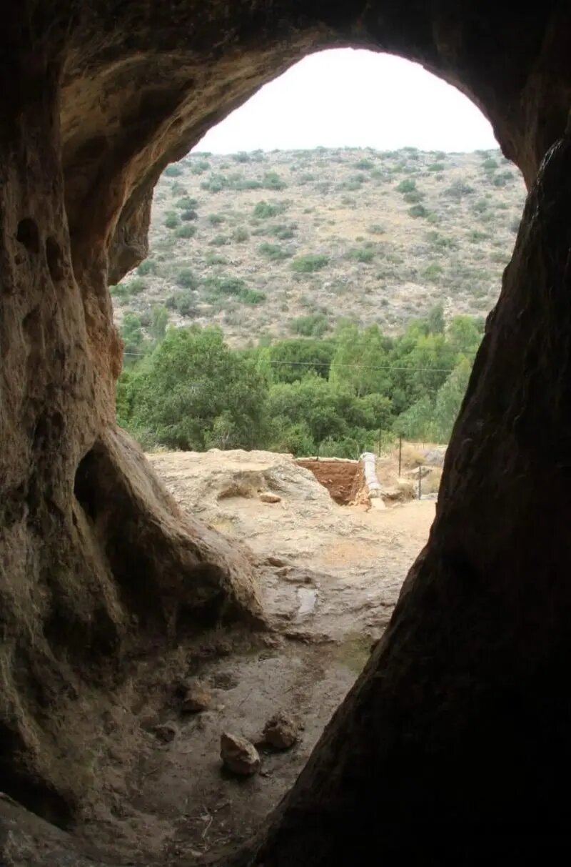 کشف قدیمیترین «انسان ترکیبی» جهان | شواهد تلاقی انسان و نئاندرتال