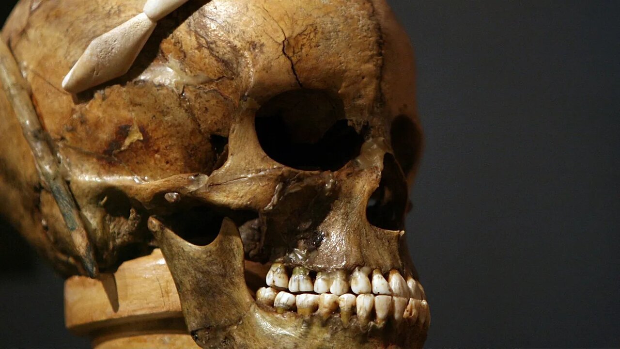 فرانسه سر بریده شده پادشاه این کشور را بازگرداند + تصاویر