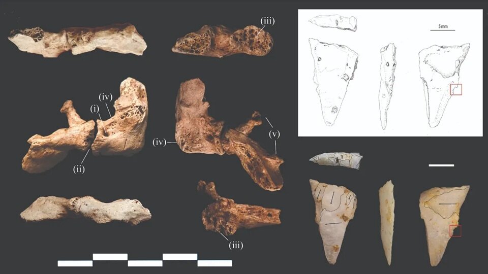 مردی که ۱۲ هزار سال قبل با یک «تیر سنگی» کشته شد | عکس