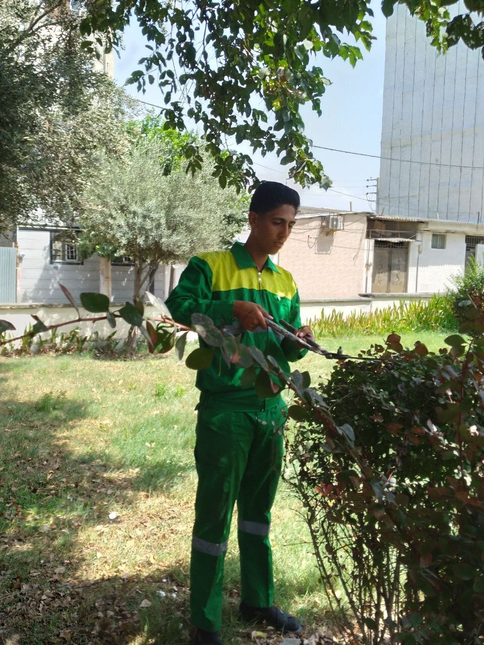 کارگر شهرداری چشمش را روی ۲ میلیارد طلا بست| چنین گنجی را در خواب هم نمیدیدم اما طلاها صاحب داشت...