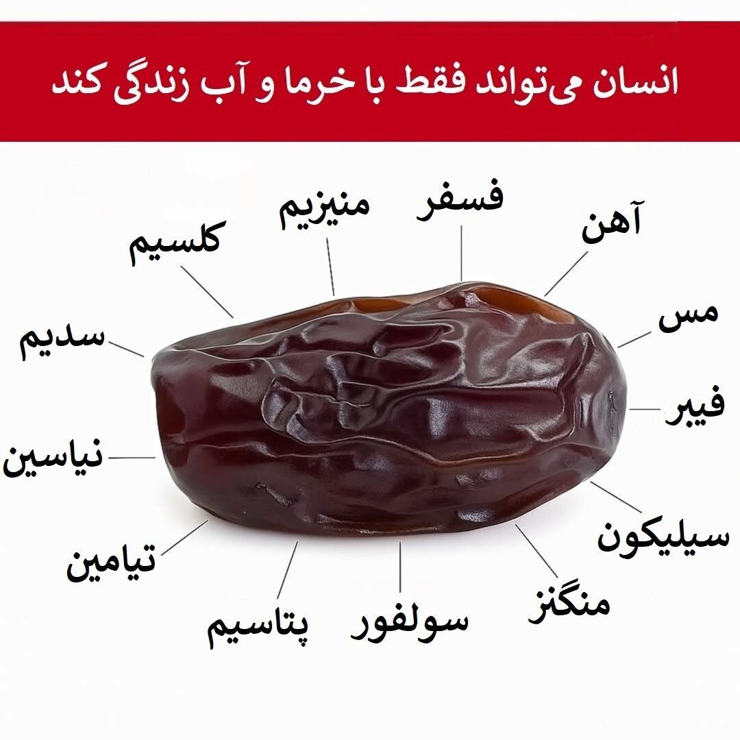 ترکیب ساده یک انرژی بی‌پایان؛ خرما و آب