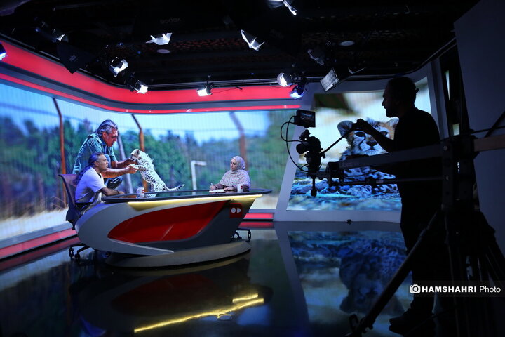 حفاظت و تکثیر یوز ایرانی