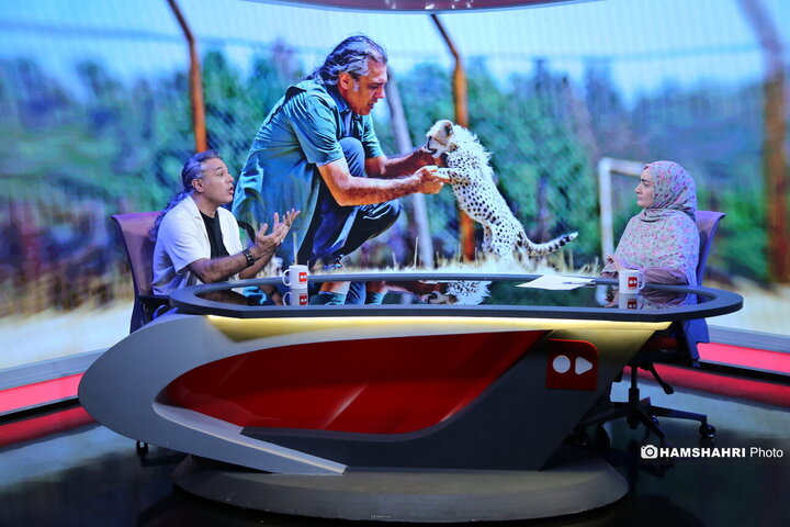 حفاظت و تکثیر یوز ایرانی