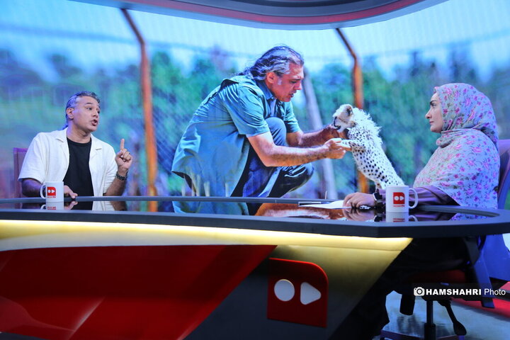 حفاظت و تکثیر یوز ایرانی