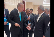 پزشکیان و اردوغان دست در دست یکدیگر + ویدئو | تصاویری از قدم زدن صمیمانه ۲ رئیس جمهور