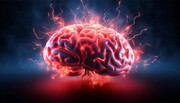 تابستان چه بلایی بر سر مغز ما می‌آورد؟ | نگذارید مغزتان داغ شود