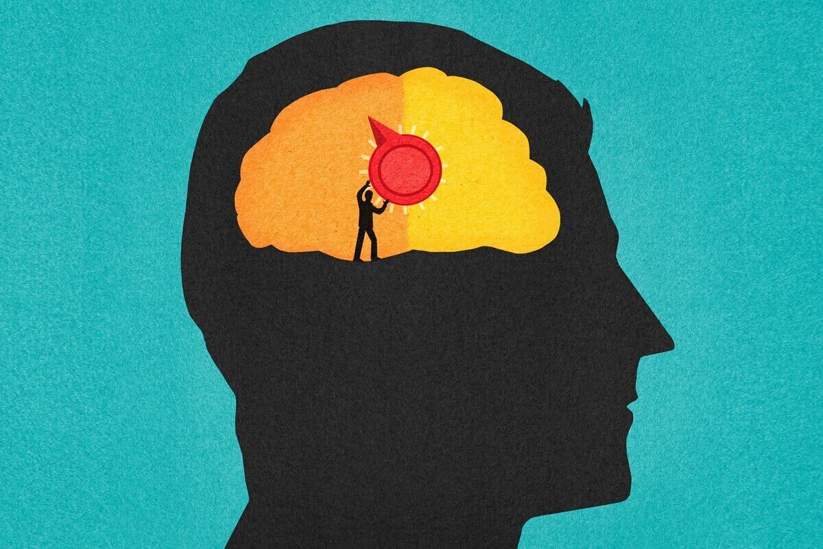 تابستان چه بلایی بر سر مغز ما میآورد؟ | نگذارید مغزتان داغ شود