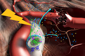 ترمیم و بازسازی شگفتآور پوست با سلولهای بنیادی و اسرار دنیای نانوفناوری