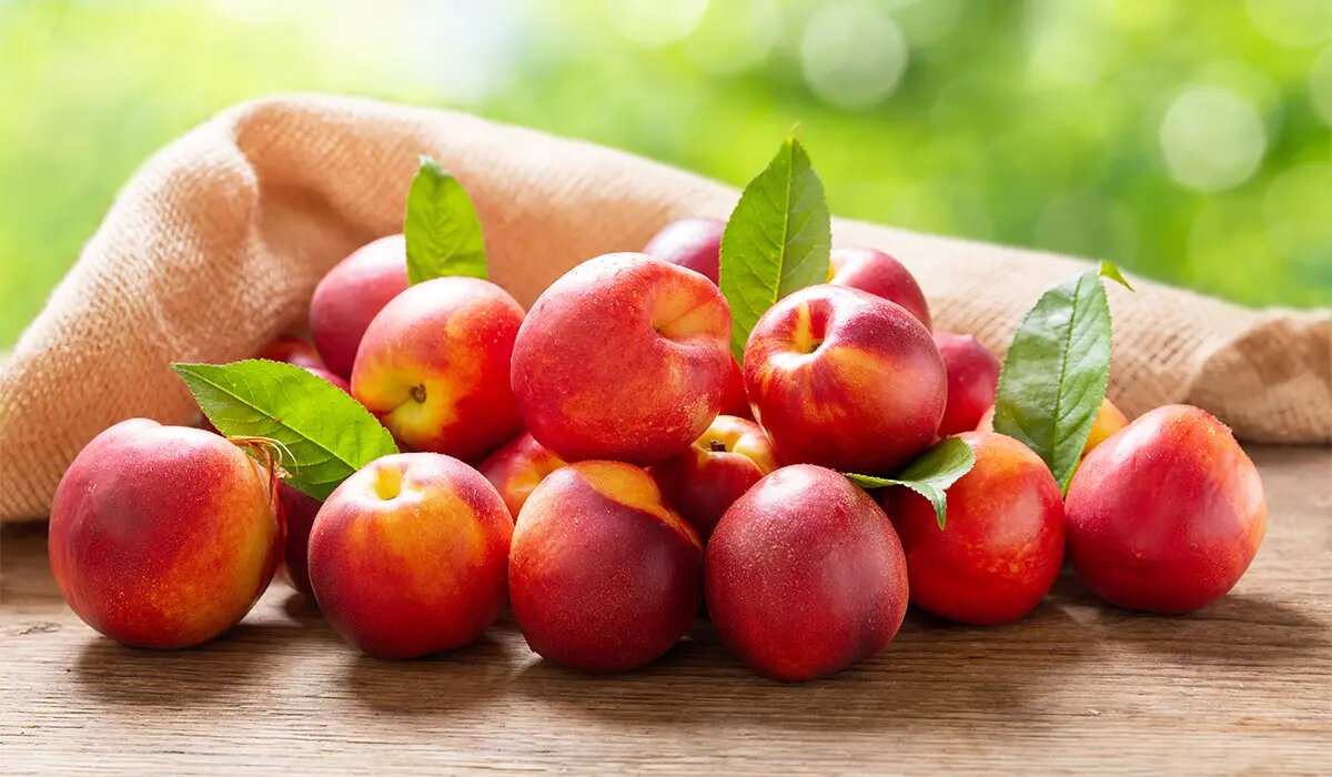 میوه ای که برای درمان یبوست و تقویت کبد معجزه می کند | میوه ای سودمند برای افراد لاغر و نحیف!