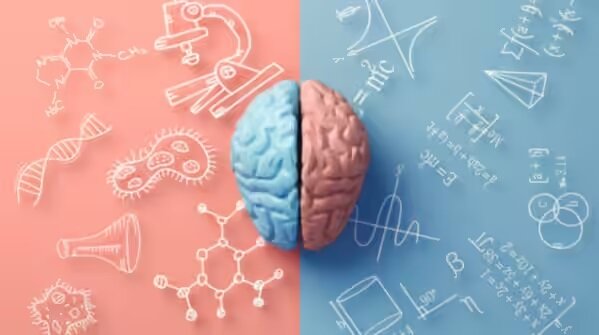 ۵ راهکار برای افزایش تمرکز و افزایش حافظه