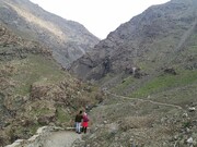 کوهپیمایی بر فراز بام تهران