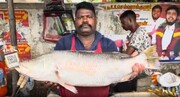 برش زدن ماهرانه ماهی باراموندی توسط ماهی فروش هندی کنار خیابان + ویدئو