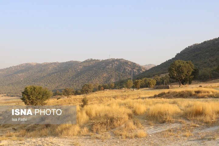 سد شاه قاسم