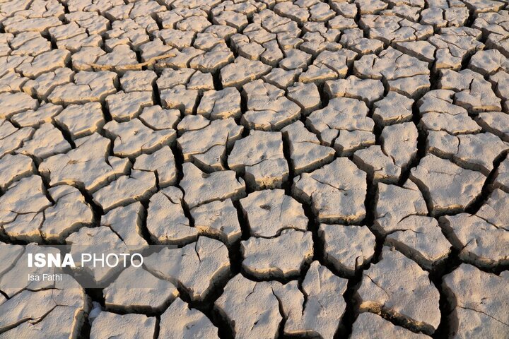 سد شاه قاسم