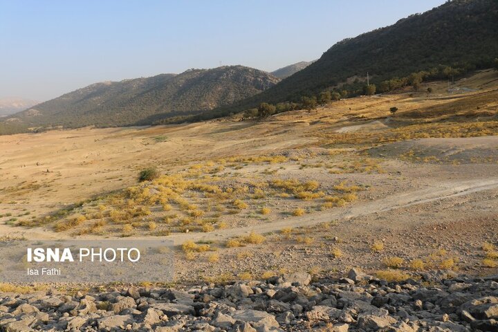 سد شاه قاسم