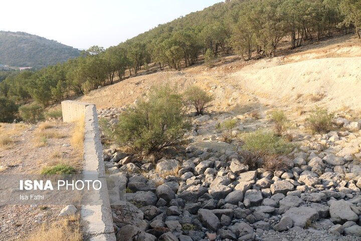 سد شاه قاسم