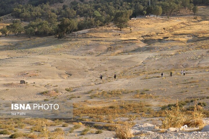 سد شاه قاسم