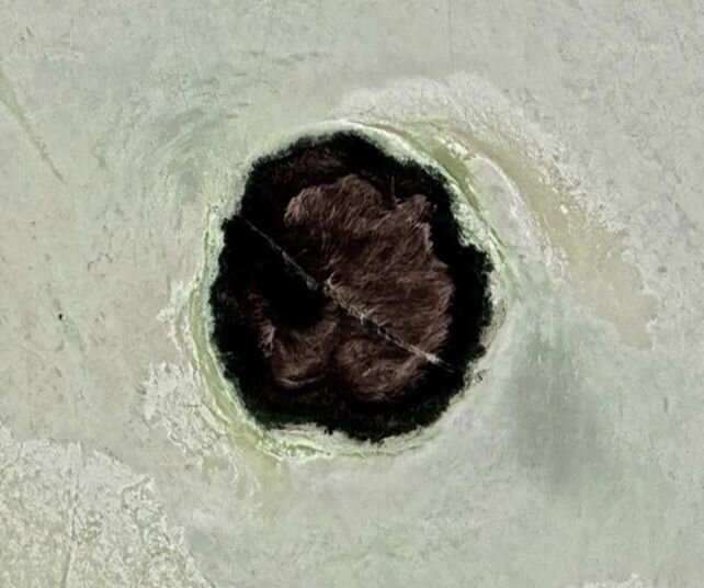 لولهکشی طبیعی که کسی از آن خبر نداشت | راز جزایر زندهای که یکباره ظاهر میشوند