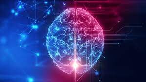 همکاری ۶۰۰ هزار نورون مغز فقط برای یک تصمیمگیری یا انتخاب ساده