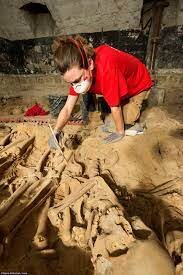 ۳۱۷ اسکلت در دل یک فروشگاه؛ از گنجههای تدفین آجری و استخوانهای ۴۰۰ ساله تا لوله تنباکو