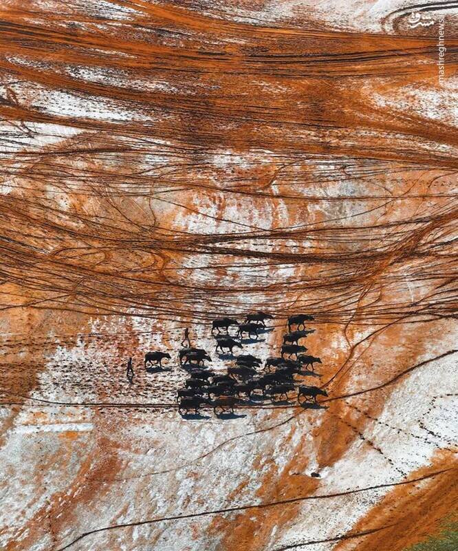 جهان را از زاویهای دیگر ببینید | عکس