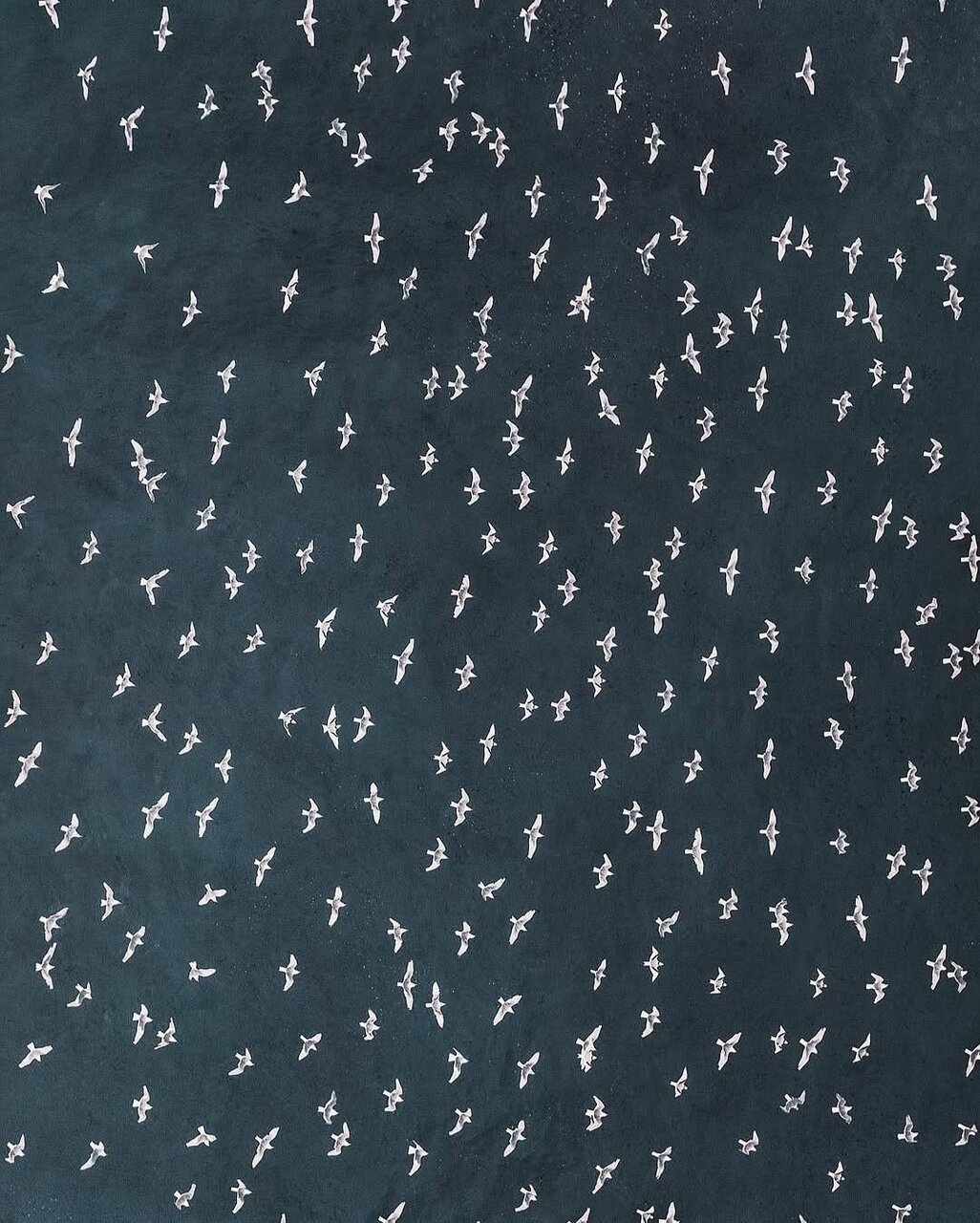 جهان را از زاویهای دیگر ببینید | عکس