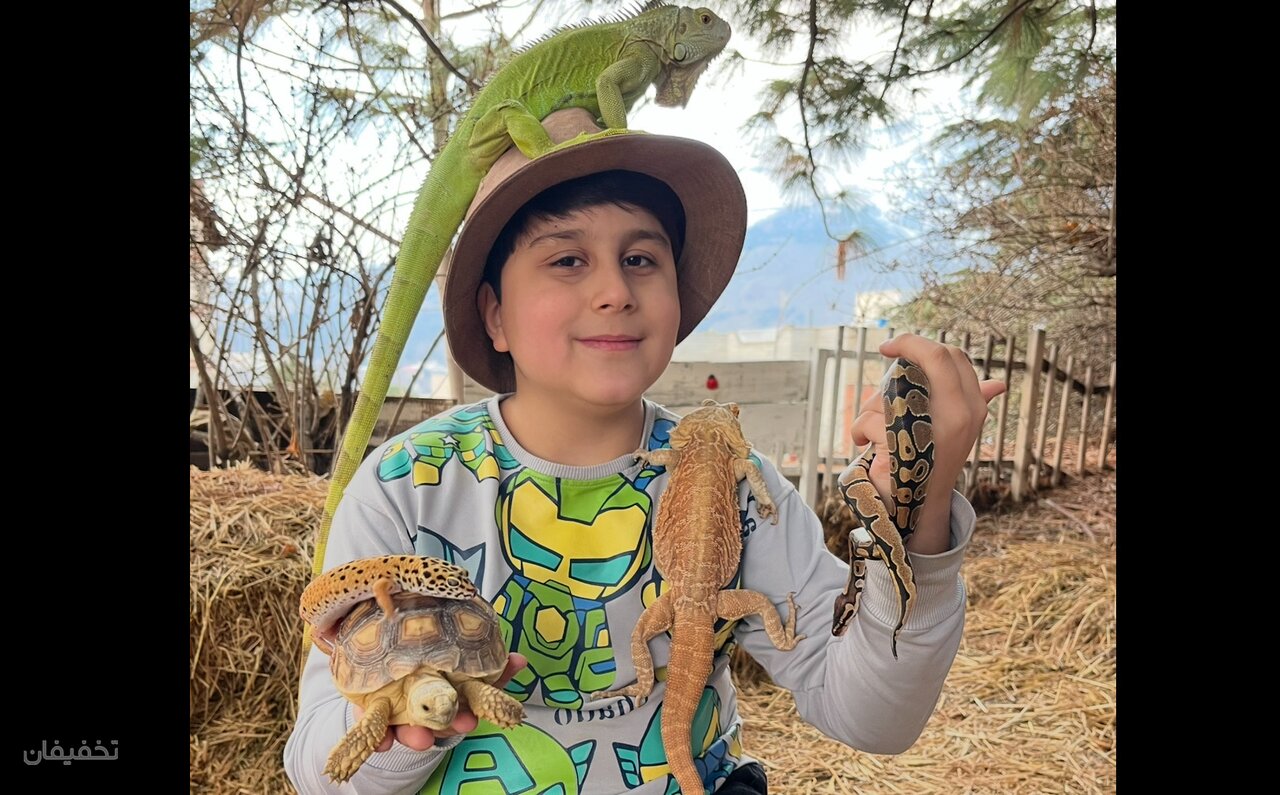 سفر به کلبه خزندگان