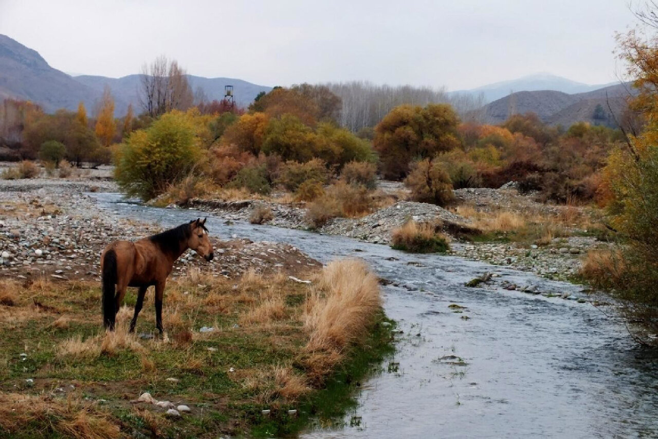 ناترازی برق دامن محیط زیست را گرفت | تشکیل پرونده قضایی برای نیروگاه پرحاشیه تهران