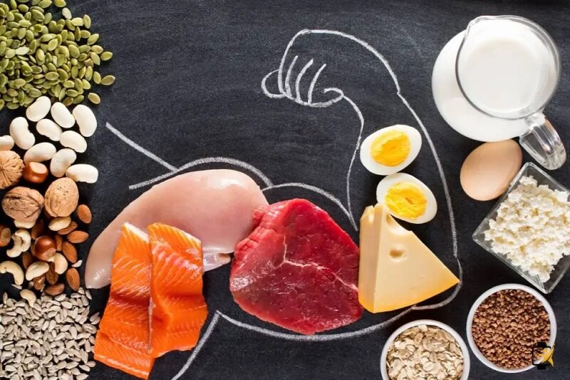 غذاهای پروتئینی مناسب افراد مسن