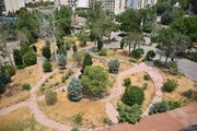 افزایش ۳ هکتاری فضای سبز شمال تهران