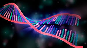 حلقه گمشده منشأ حیات | وقتی RNA و اسیدآمینه‌ها در آب زنده شدند