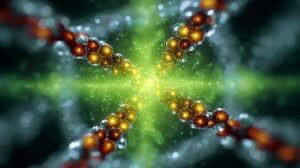 حلقه گمشده منشأ حیات | وقتی RNA و اسیدآمینه‌ها در آب زنده شدند