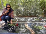 تصاویری از قبور فریماه فرجامی، حمید سمندریان،خسرو شکیبایی و دیگر هنرمندان در روز سینما | برگزاری مراسم جشن تولد برسر مزار پردیس افکاری