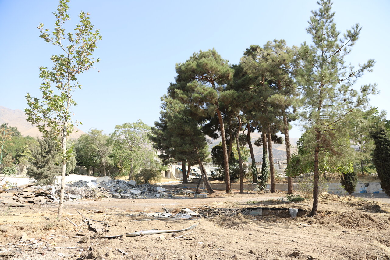 بوستان منطقه یک