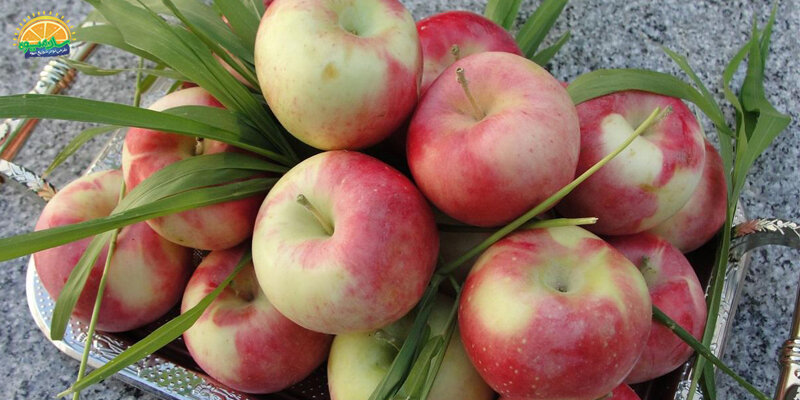 خواص شگفت انگیز میوه خوش عطر تابستانی؛ از درمان معده تا کاهش التهاب بدن