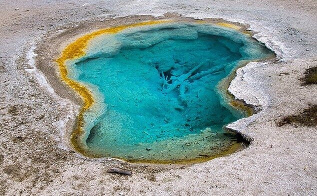 یک ادعای جدید؛ حیات روی کره زمین نه اتفاقی بلکه مهندسیشده است!