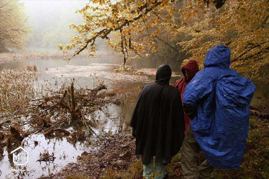 فراخین؛ دریاچه ای بکر در دل جنگل های هیرکانی