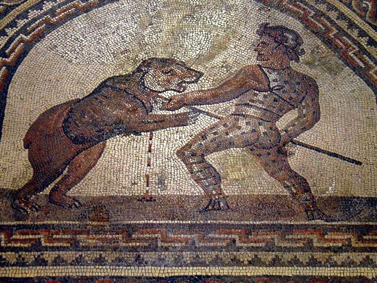 کشف جمجمه خرس نیزه خورده در آمفیتئاتر