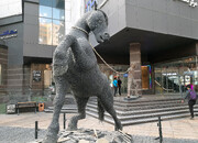 اسب بازیافتی در تهران