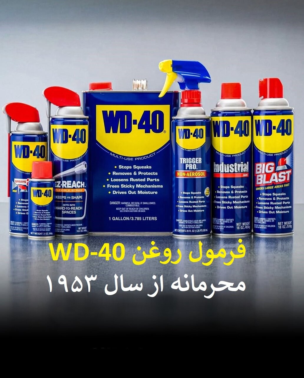 اسرار محرمانه تاریخ؛ از هواپیمای جاسوسی تا یک تکه مرغ سوخاری!