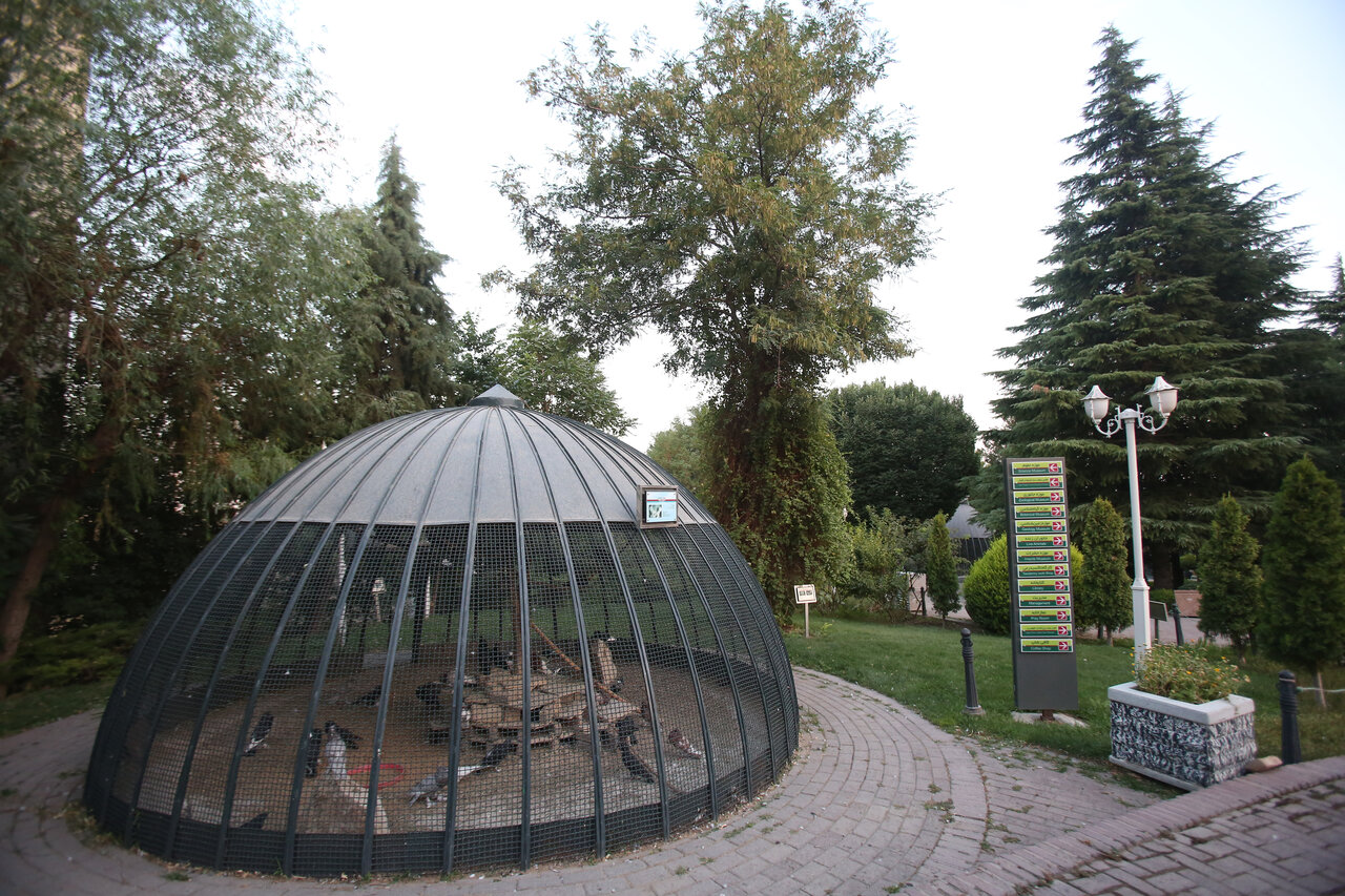 سفر بهدنیای جانوران در موزه حیاتوحش دارآباد